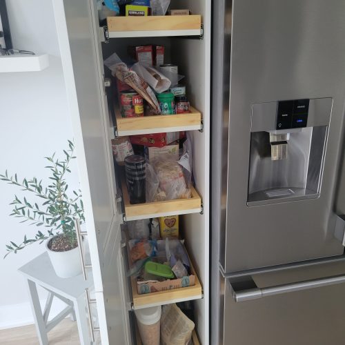 fridge-self